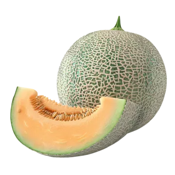 Melón